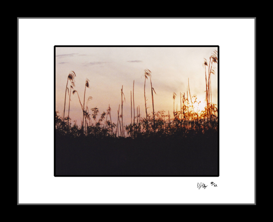 Sunset at the Marshes - Everglades National Park (SunsetENP001) - Damian Kolbay Photography