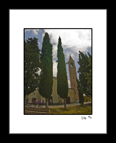 Trees in Tuscany - Poppiano, Italy (6765_TuscanyTrees) - Damian Kolbay Photography