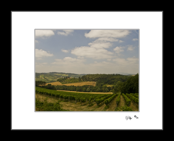 Vineyards in Tuscany - Poppiano, Italy (6766_TuscanyVineyards) - Damian Kolbay Photography