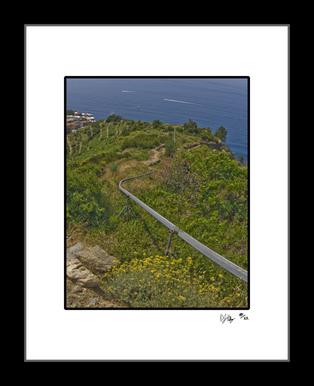 Grape Lift - Cinque Terre, Italy (6843_CinqueTerreLift) - Damian Kolbay Photography