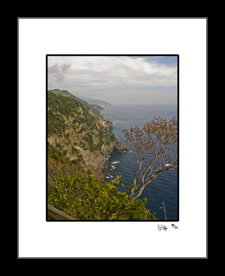 Reaching Tree - Cinque Terre, Italy (7005_CinqueTerreTree2) - Damian Kolbay Photography