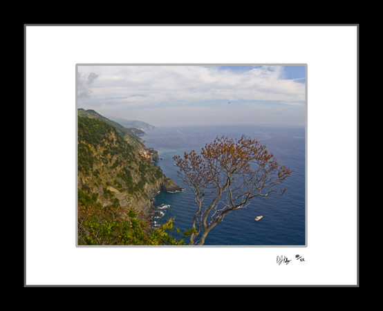 Reaching Tree - Cinque Terre, Italy (7006_CinqueTerreTree) - Damian Kolbay Photography