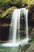 Grotto Falls - Damian Kolbay Photography