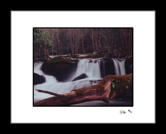 Mountain Stream Cascades - Smoky Mountains (RiverLogIFF001) - Damian Kolbay Photography