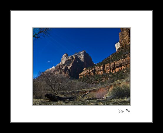 Sunlight on the Canyon - Zion National Park (ZNP_Sunlight) - Damian Kolbay Photography