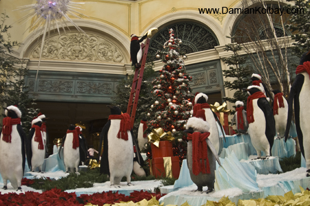 Penguins at the Bellagio 2 - IMG_3749