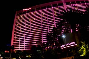 Flamingo Hotel and Casino at Night - IMG_3794