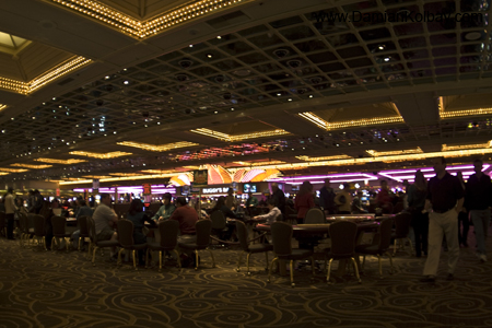 Inside the Flamingo - IMG_3798